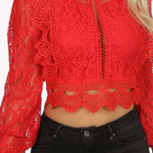 Brianna Red Lace Long Sleeve Mesh Crop Top
